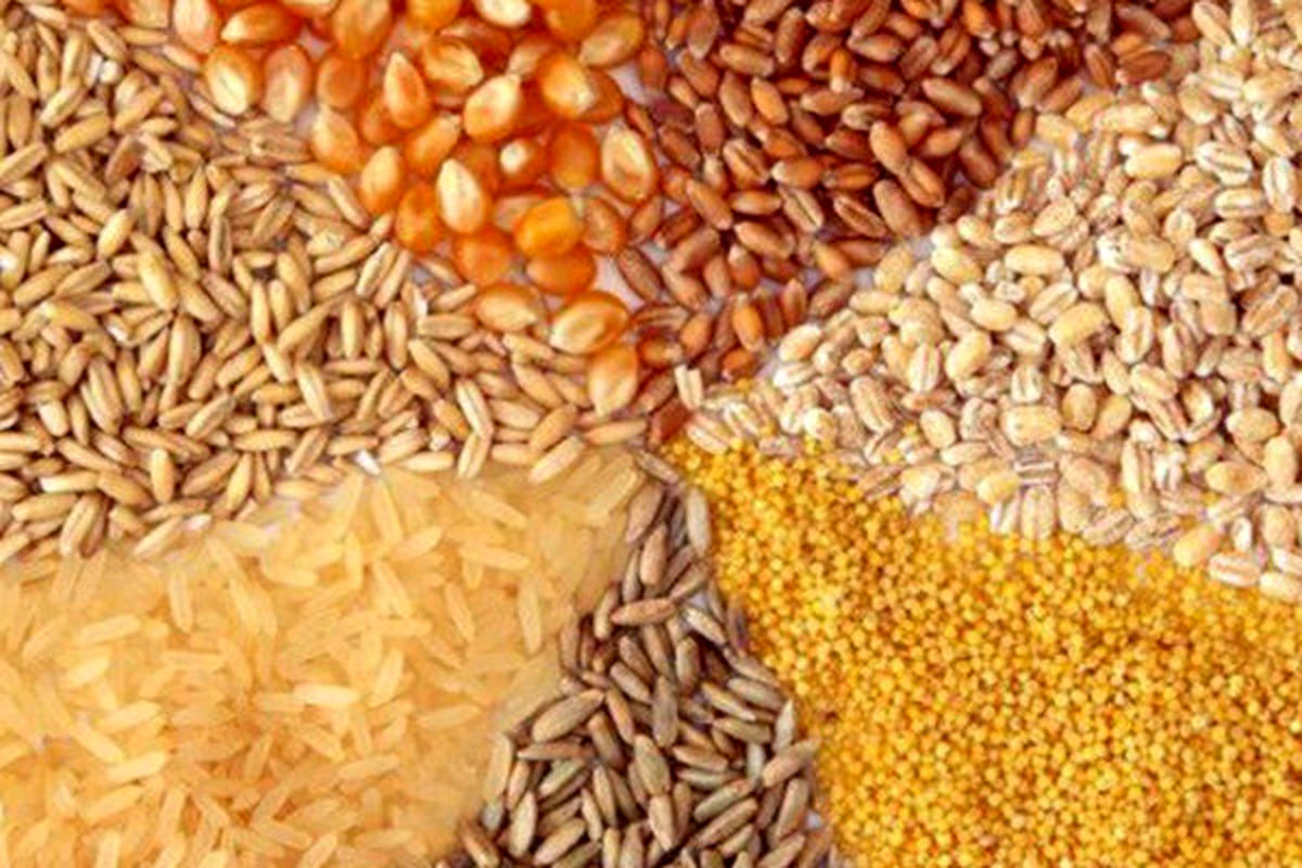 قیمتگذاری دستوری فروش نهادههای دامی منجر به کاهش واردات میشود