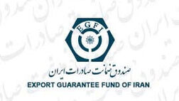 کسب کرسی بین المللی توسط صندوق ضمانت صادرات ایران