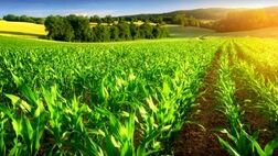 سرشماری عمومی کشاورزی امروز آغاز می‌شود