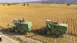 
اصلاح قیمت خرید تضمینی گندم به کجا رسید؟
