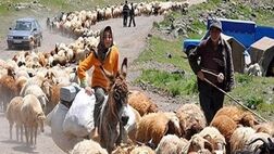 پرداخت وام ۲۰۰ میلیونی کم بهره به عشایر استان تهران