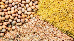 بیشترین ضعف شرکت‌های بیمه‌ای در پرداخت به موقع خسارت است