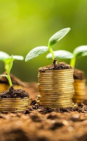 غرامت به شرط بیمه/ تکلیف کشاورزان سیل‌زده چیست؟