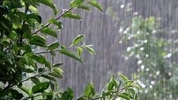تداوم بارش باران در برخی مناطق کشور تا پنجشنبه
