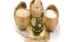 بازگشت ارز ترجیحی برای نهاده‌های دامی و برخی کالاهای اساسی