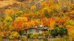 ایران زیباست؛ خزانِ همدان
