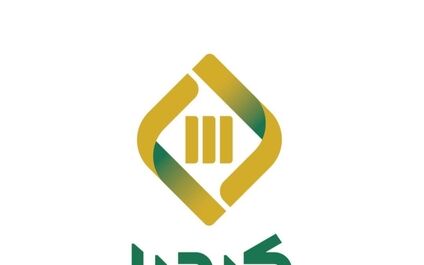 سرمایه پایین رتبه  تامین سرمایه کیمیا  را به جایگاه دهم سوق داد