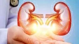 
چطور خطر سنگ کلیه را کاهش دهیم؟