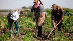 ثبت رکورد ۵.۷ درصدی نرخ بیکاری در روستاها 