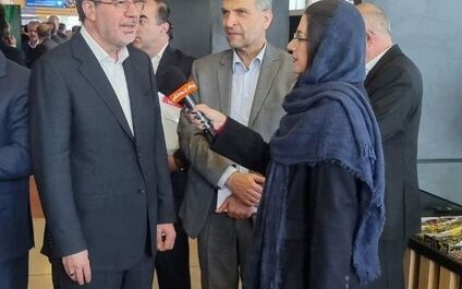 شرکت های بیمه ای بدون ارزیابی ریسک و با شکستن قیمت ها به رقابت می پردازند + فیلم