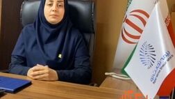 فروش شعبه زنجان بیمه تجارت‌نو  731 درصد رشد کرد