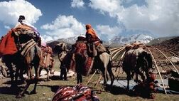 نمی‌توان با افزایش غیرمنطقی مستمری‌ها، تعادل منابع و مصارف صندوق عشایر را بر هم زد 