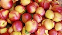 میوه‌ای بی‌نظیر برای تقویت کبد و تصفیه خون
