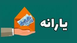 
زمان پرداخت یارانه ۷۰۰ هزار تومانی مشخص نیست / پیگیر پرداخت یارانه نان هستم