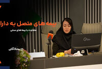 صنعت بیمه در حرکت به سمت توسعه بیمه نامه های متصل به دارایی ناگزیر است + فیلم