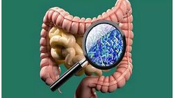 بهبود سلامت روده موجب افزایش طول عمر می شود