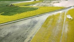 سیل ۸۴۰ میلیون تومان خسارت به محصولات زراعی زنجان وارد کرد